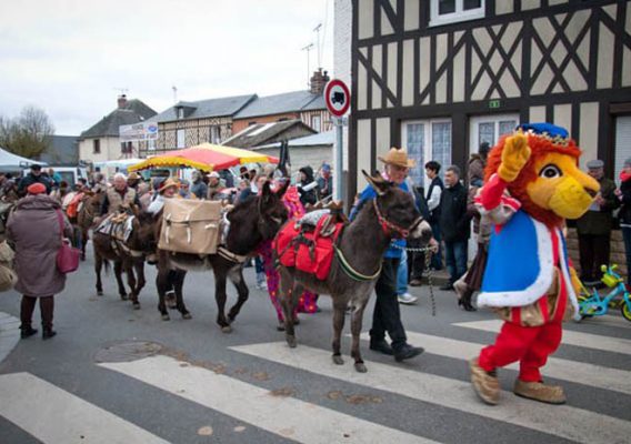 Foire aux ânes Moyaux Calvados Normandie pays d'Auge